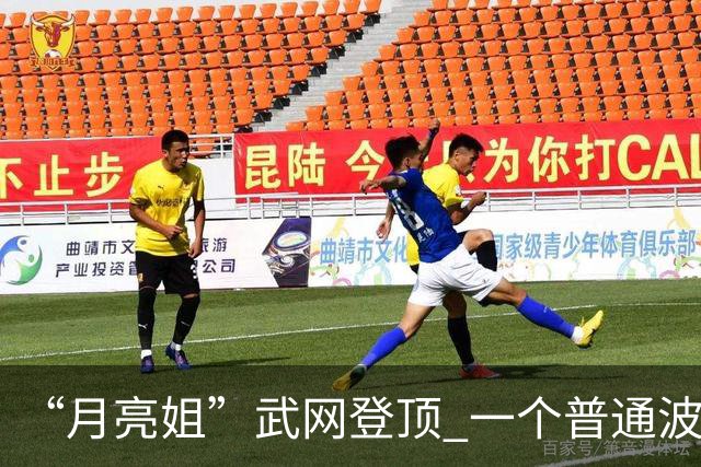 “月亮姐”武网登顶 一个普通波兰女孩的不普通赛季