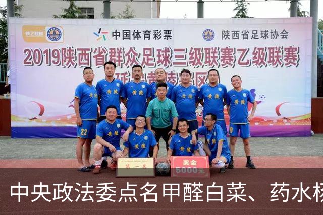 中央政法委点名甲醛白菜、药水杨梅，对影响恶劣案件从重判罚