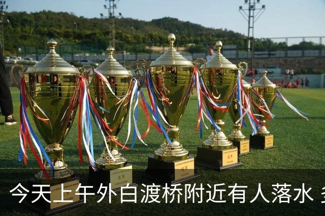 今天上午外白渡桥附近有人落水 多部门现场搜救