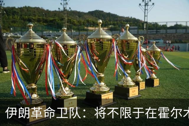 伊朗革命卫队：将不限于在霍尔木兹海峡打击违规船只