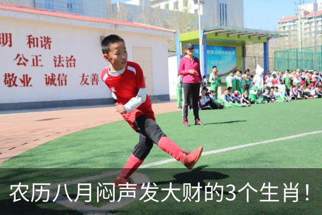 农历八月闷声发大财的3个生肖！一份付出多分收益，老实人熬出头