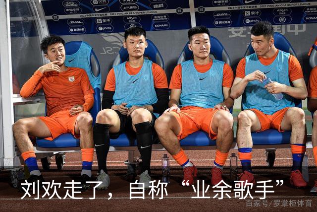 刘欢走了，自称“业余歌手”