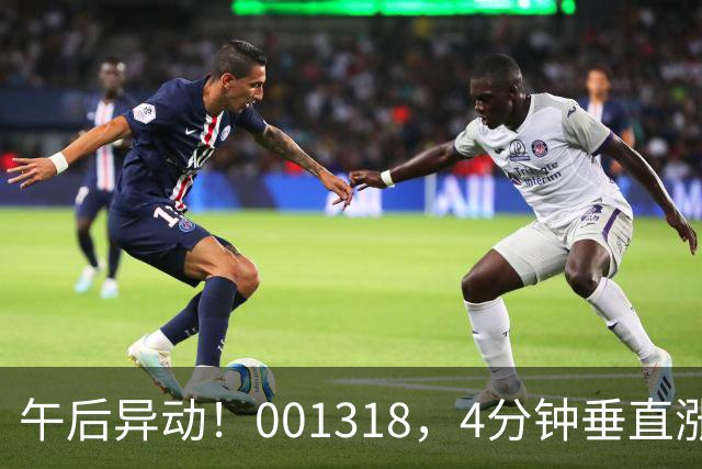 午后异动！001318，4分钟垂直涨停！