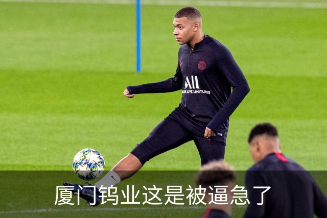 厦门钨业这是被逼急了