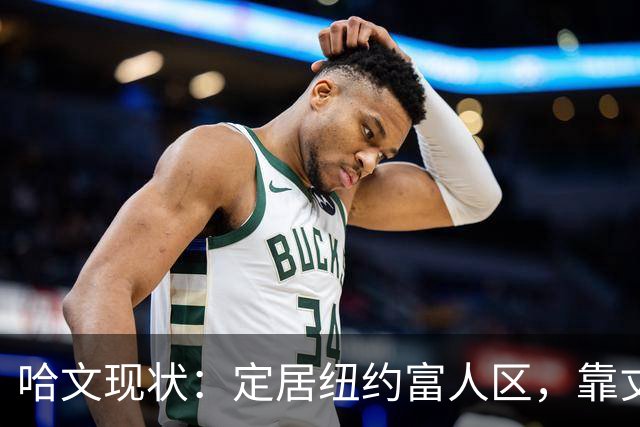 哈文现状：定居纽约富人区，靠丈夫遗产和女儿很潇洒，没有再婚