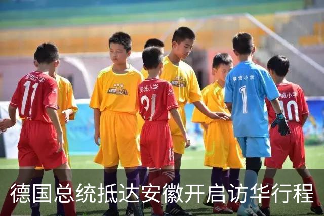 德国总统抵达安徽开启访华行程