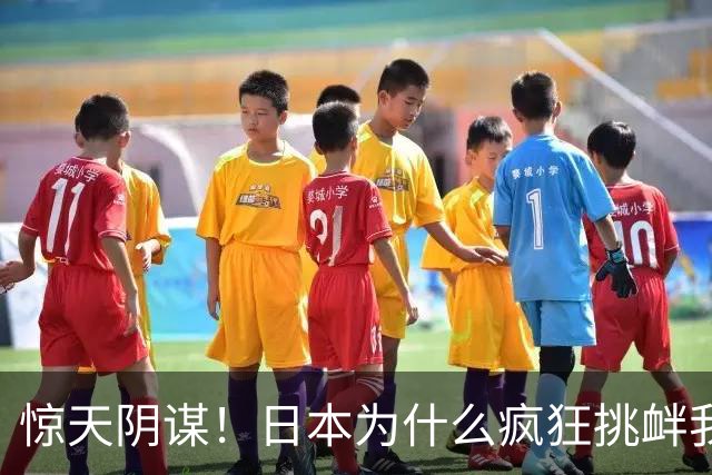惊天阴谋！日本为什么疯狂挑衅我们，真实意图曝光：逼中国出手！