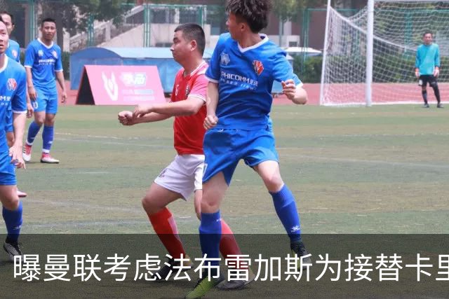 曝曼联考虑法布雷加斯为接替卡里克的人选