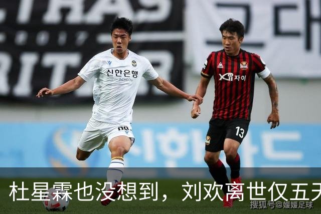 杜星霖也没想到，刘欢离世仅五天，75岁张纪中因一个举动口碑暴涨