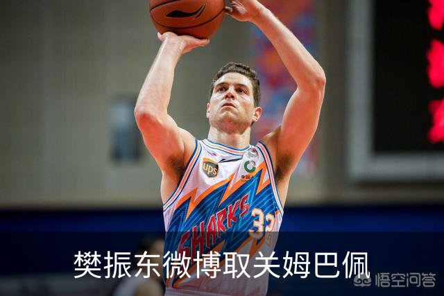 樊振东微博取关姆巴佩