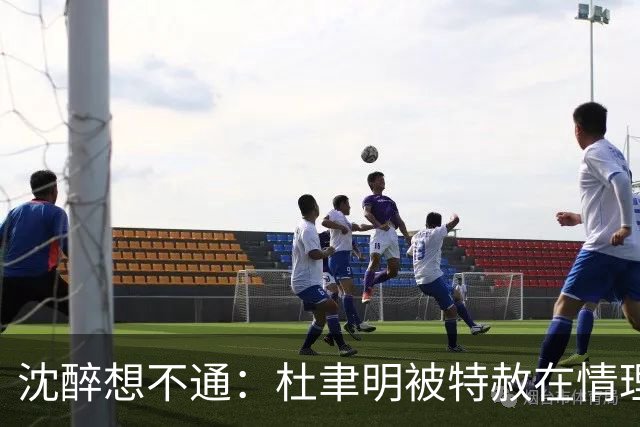 沈醉想不通：杜聿明被特赦在情理之中，蒋介石贴身保镖竟也获赦？