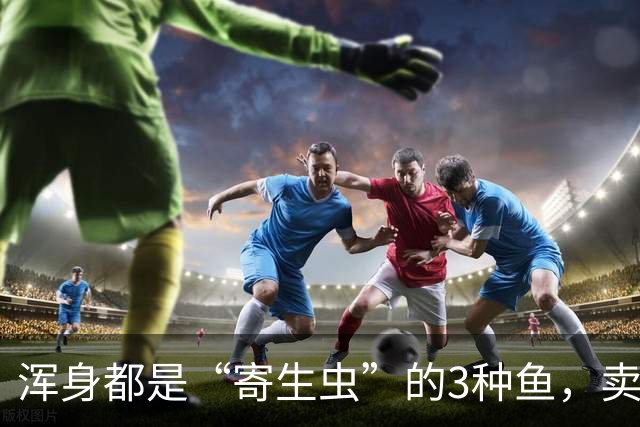 浑身都是“寄生虫”的3种鱼，卖鱼商贩都不敢吃，白送也千万别要