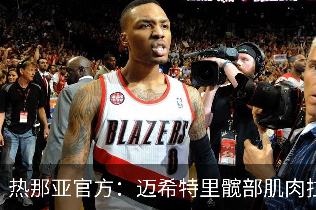 热那亚官方：迈希特里髋部肌肉拉伤。具体情况将进一步检查