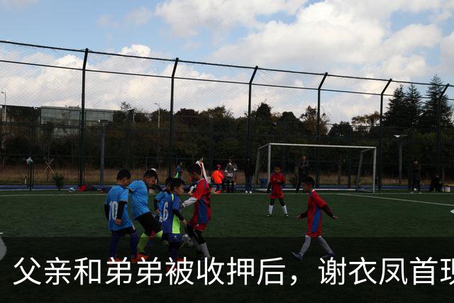 父亲和弟弟被收押后，谢衣凤首现身，称“不了解过程，盼还家人清白”
