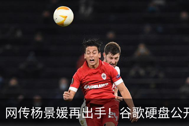 网传杨景媛再出手！谷歌硬盘公开关键证人信息，武大诬告案再起波澜