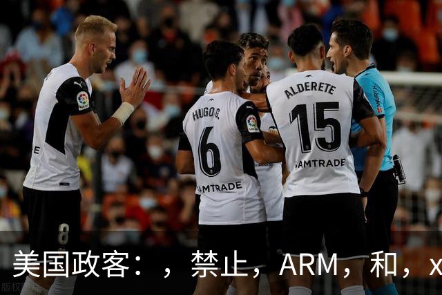 美国政客：，禁止，ARM，和，x86，授权给中国！，中国：，行！，我开源芯片遍地开花！