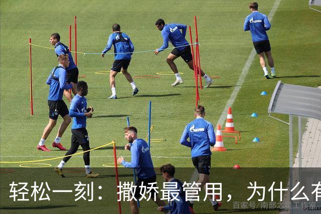 轻松一刻：撒娇最管用，为什么有人选择撒泼？