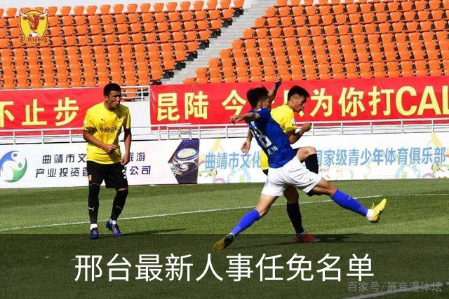 邢台最新人事任免名单