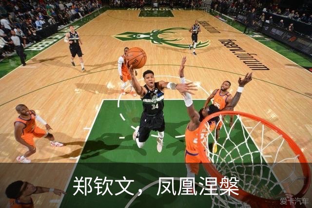 郑钦文，凤凰涅槃