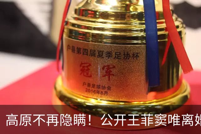 高原不再隐瞒！公开王菲窦唯离婚原因，更多细节曝光，难怪不再婚