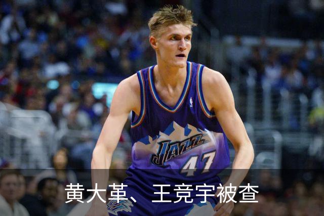 黄大革、王竞宇被查