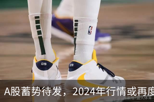 A股蓄势待发，2024年行情或再度上演